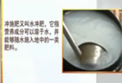 什么是沖施肥?有哪些作用效果【視頻】 什么是沖施肥?有哪些作用效果【視頻】